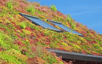 Thornley living roof systems